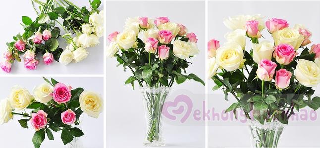Cách cắm hoa hồng đơn giản nhất với sắc trắng và hồng