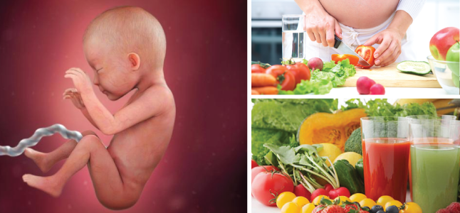 Mang thai tuần 26: Sự phát triển của thai nhi và mẹ bầu cần ăn gì