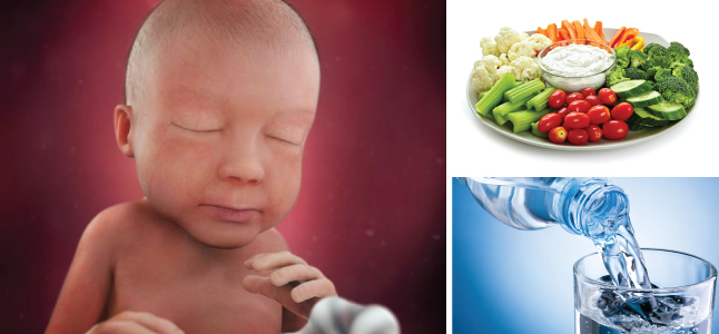 Mang thai tuần 28: Sự phát triển của thai nhi và mẹ bầu nên ăn gì