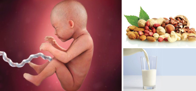 Mang thai tuần 29: Sự phát triển của thai nhi và mẹ bầu nên ăn gì