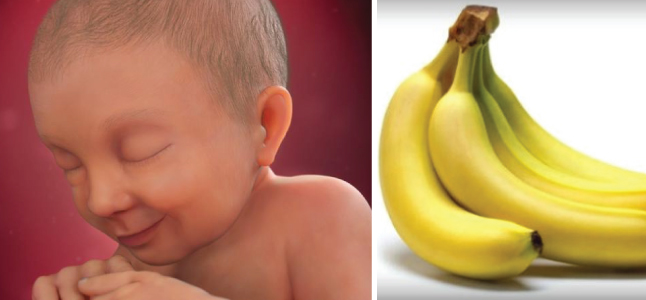 Mang thai tuần 37: Sự phát triển của thai nhi và mẹ bầu nên ăn gì
