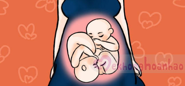 Tìm hiểu các tư thế ngôi thai khi mẹ mang song thai