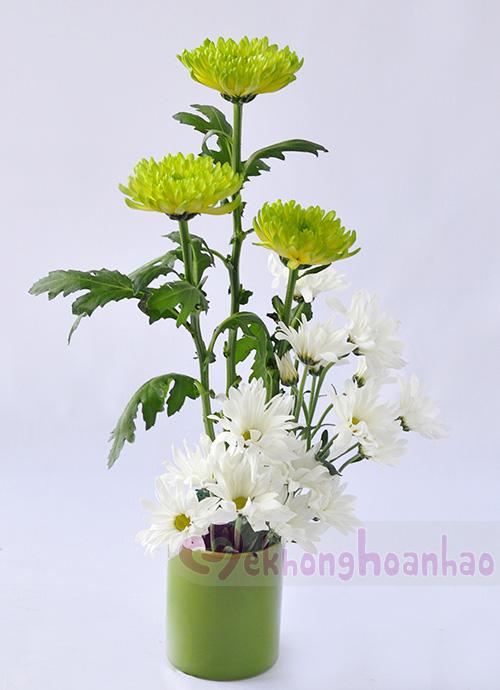 Cách cắm hoa cúc đẹp dịu dàng sắc xanh trắng hình 3