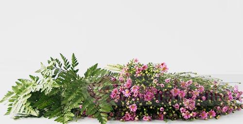 Cách cắm hoa thạch thảo tím dịu dàng và mộc mạc | Blog Cây Cảnh