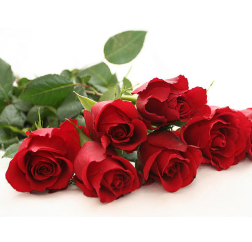 Mãn nhãn với bộ sưu tập cách cắm hoa hồng đẹp tinh tế hình 44