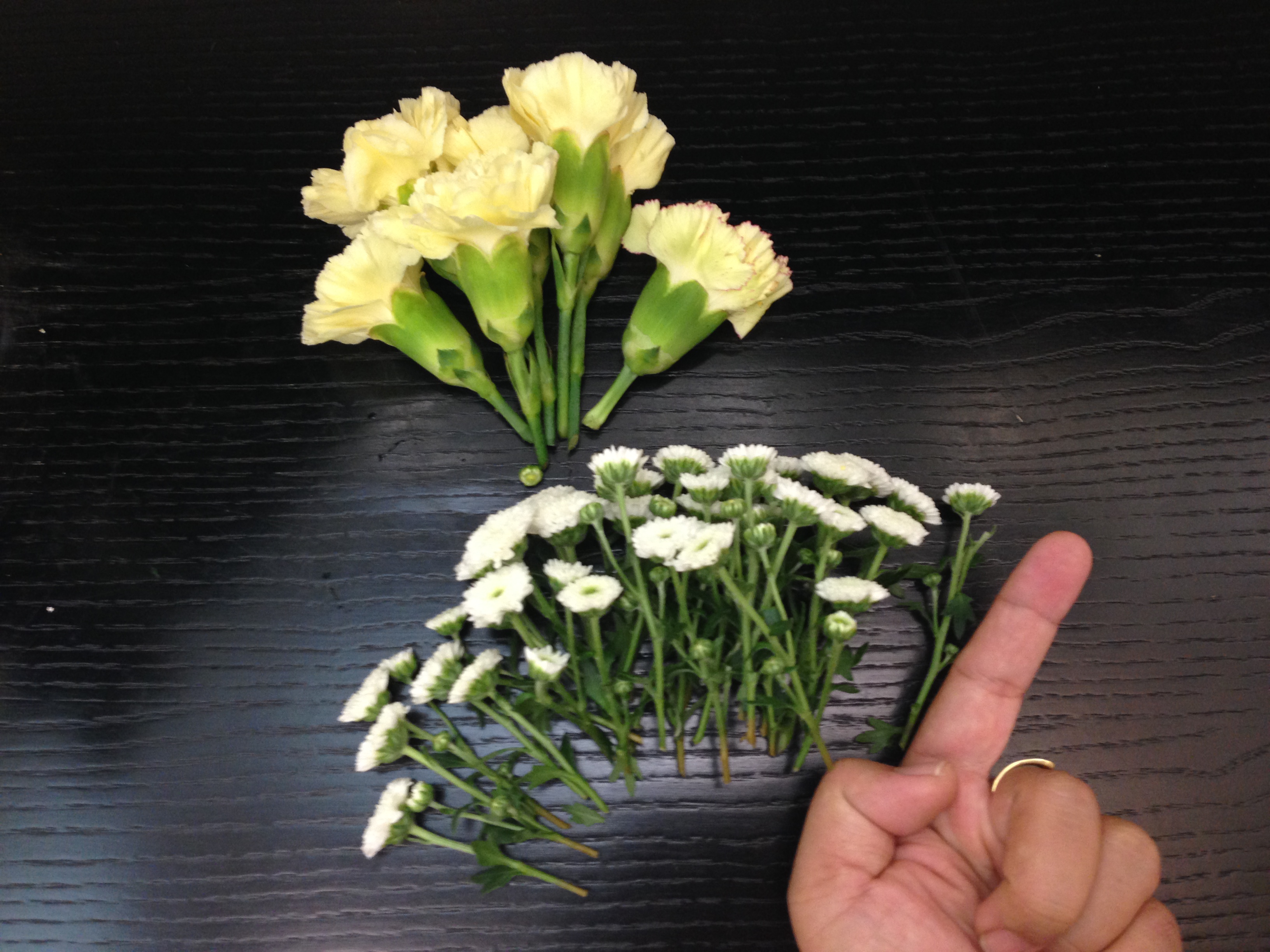 cách cắm hoa cúc nhỏ đẹp | Blog Cây Cảnh