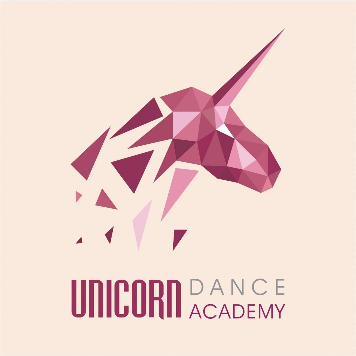 Unicorn Dance Academy Tân Bình – 1034 Cách Mạng Tháng 8, Phường 7, Quận Tân Bình, Tp HCM
