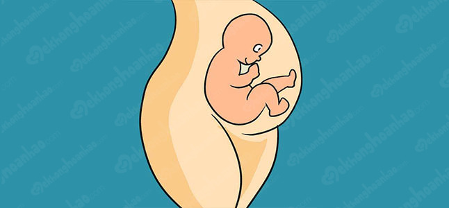 Sự phát triển của thai nhi tháng thứ 7: Tuần 28 – Tuần 31