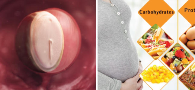 Mang thai tuần thứ 4: Sự phát triển của thai nhi và mẹ bầu nên ăn gì
