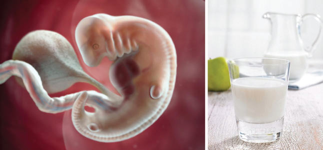 Mang thai tuần thứ 6: Sự phát triển của thai nhi và mẹ bầu nên ăn gì