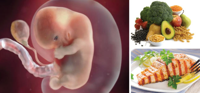Mang thai tuần thứ 8: Sự phát triển của thai nhi và mẹ bầu nên ăn gì