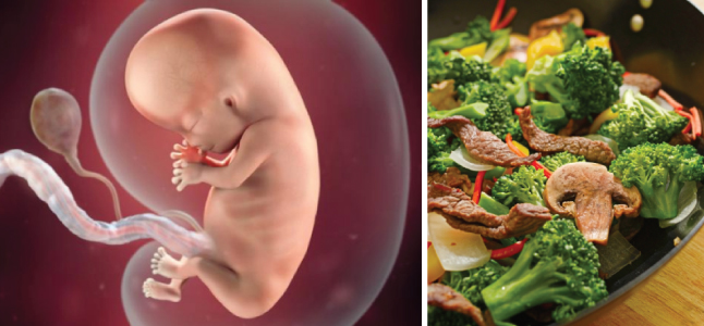 Mang thai tuần thứ 10: Sự phát triển của thai nhi và mẹ bầu nên ăn gì?