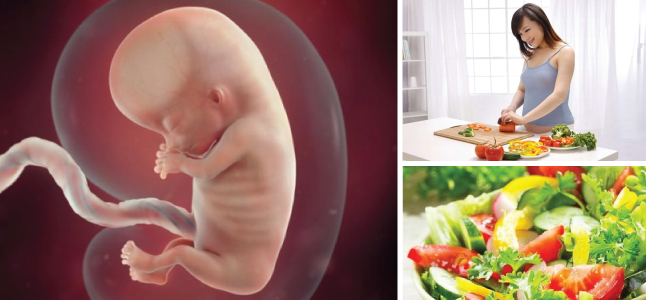 Mang thai tuần thứ 11: Sự phát triển của thai nhi và mẹ bầu nên ăn gì
