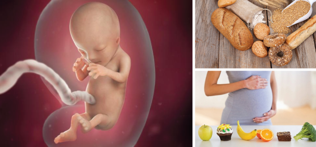 Mang thai tuần 12: Bà bầu nên ăn gì, sự phát triển và nhịp tim thai