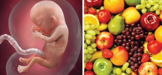 Mang thai tuần 13: Sự phát triển của thai nhi và mẹ bầu nên ăn gì