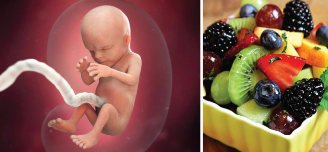 Mang thai tuần 14: Sự phát triển của thai nhi và bà bầu cần bổ sung gì