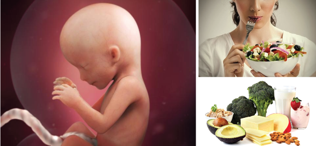 Mang thai tuần 16: Sự phát triển của thai nhi và mẹ bầu nên ăn gì