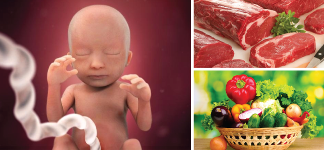 Mang thai tuần 18: Sự phát triển của thai nhi và mẹ bầu nên ăn gì