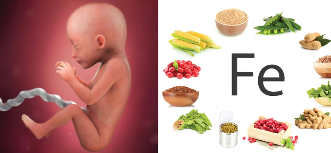 Mang thai tuần 19: Sự phát triển của thai nhi và mẹ bầu nên bổ sung gì
