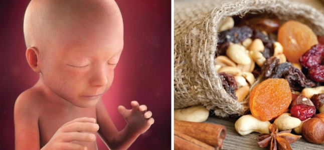 Mang thai tuần 21: Sự phát triển của thai nhi và mẹ bầu cần ăn gì