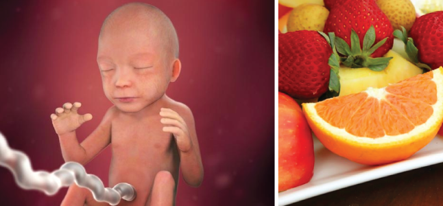 Mang thai tuần 22: Sự phát triển của thai nhi và mẹ bầu cần ăn gì